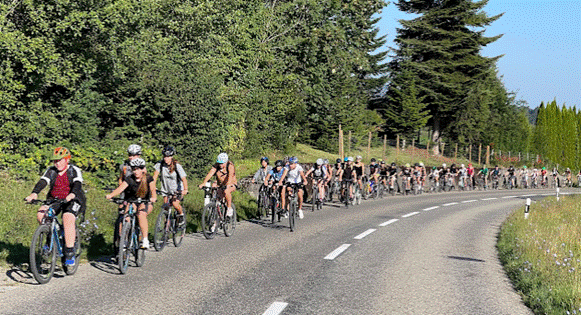 Ein Bild, das Stra&szlig;e, Baum, drau&szlig;en, fahrend enth&auml;lt.

Automatisch generierte Beschreibung
