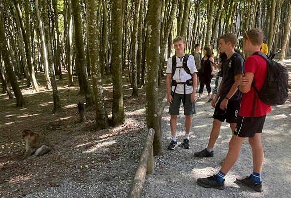 Ein Bild, das Boden, drau&szlig;en, Baum, Person enth&auml;lt.

Automatisch generierte Beschreibung