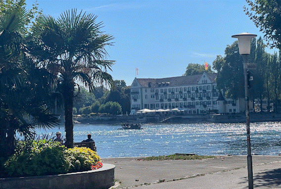 Ein Bild, das Baum, drau&szlig;en, Himmel, K&uuml;ste enth&auml;lt.

Automatisch generierte Beschreibung