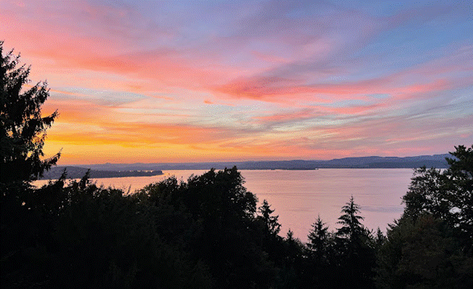 Ein Bild, das Baum, drau&szlig;en, Himmel, Sonnenuntergang enth&auml;lt.

Automatisch generierte Beschreibung